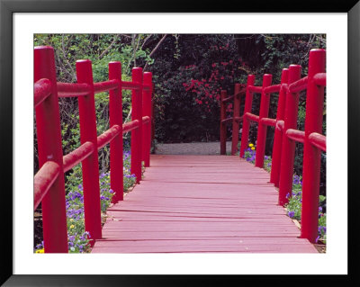 Red Bridge, Magnolia Plantation And Gardens, Charleston, South Carolina, Usa by Julie Eggers Pricing Limited Edition Print image