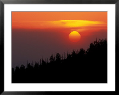 Sunset From Clingmans Dome, Great Smoky Mountains National Park, Tennessee, Usa by Joanne Wells Pricing Limited Edition Print image