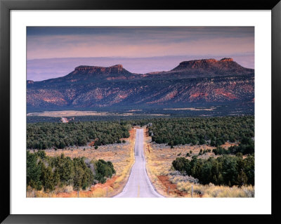 Bears Ears Buttes From Cedar Mesa, Moki Dugway Road, Manti-La Sal National Forest, Usa by Witold Skrypczak Pricing Limited Edition Print image