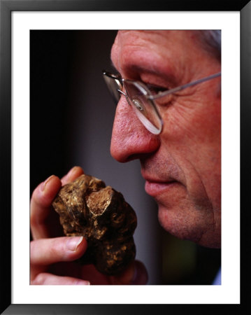 Man Holding Large White Truffle, Alba, Italy by Oliver Strewe Pricing Limited Edition Print image