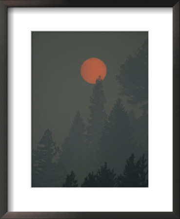 The Sun Shines Through The Haze Created By The 1988 Yellowstone Fires by Michael S. Quinton Pricing Limited Edition Print image