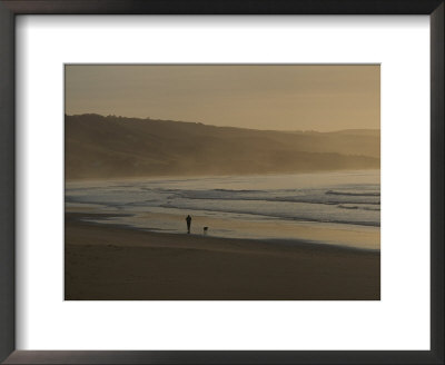 Distant View Of A Person And Dog Strolling On The Beach by Sam Abell Pricing Limited Edition Print image