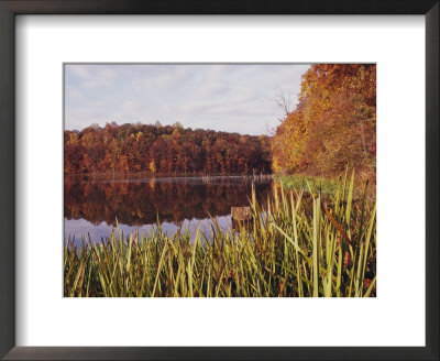 Fall View Of The Lake In Black Hills Regional Park by Brian Gordon Green Pricing Limited Edition Print image