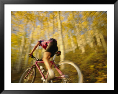 A Mountain Biker In Autumn by Dugald Bremner Pricing Limited Edition Print image