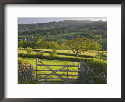 Sheepstor, Dartmoor, Devon, England by Peter Adams Pricing Limited Edition Print image
