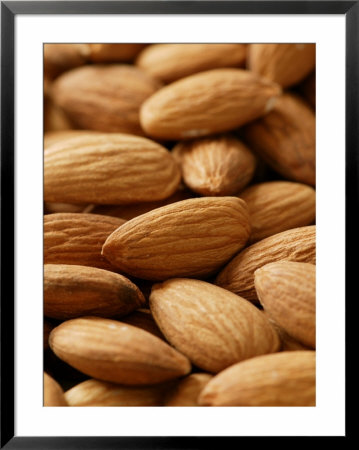Almond (Prunus Dulcis), Close-Up Of Nuts by Susie Mccaffrey Pricing Limited Edition Print image