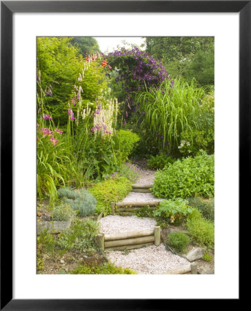 Gravel And Wooden Steps Through Summer Planting Into A Clematis Arch by Mark Bolton Pricing Limited Edition Print image