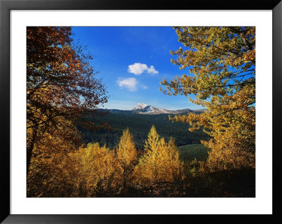 Autumn, Heaven's Peak, Utah by Peter Walton Pricing Limited Edition Print image