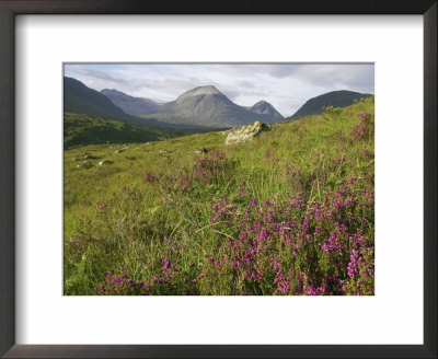 Beinn Eighe Nnr With Bell Heather, North-West Highlands, Scotland by Mark Hamblin Pricing Limited Edition Print image