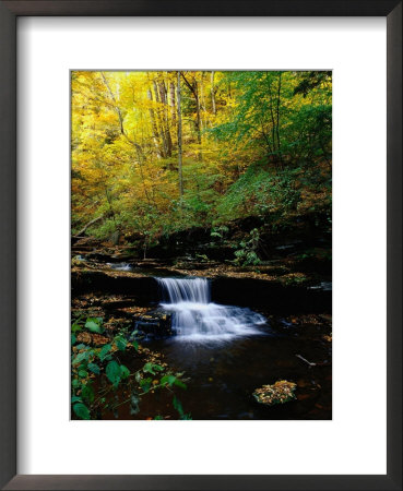 Waterfalls, Ricketts Glen State Park, Pa by Jim Schwabel Pricing Limited Edition Print image