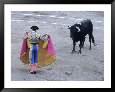 Bullfight, Aguascalientes, Mexico by Jeff Greenberg Pricing Limited Edition Print image
