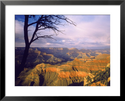 South Rim Of The Grand Canyon, Az by Jim Corwin Pricing Limited Edition Print image