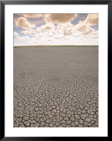 Parched Earth, Etosha National Park, Namibia by Walter Bibikow Pricing Limited Edition Print image