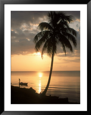 Sunrise With Man In Boat And Palm Tree, Belize by Frank Staub Pricing Limited Edition Print image