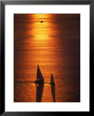 Silhouette Of Sailboats, Puget Sound, Seattle, Wa by Jim Corwin Pricing Limited Edition Print image