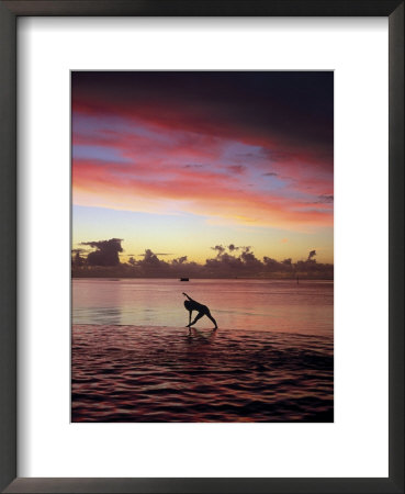 Woman Doing Yoga By Ocean At Sunset by Barry Winiker Pricing Limited Edition Print image