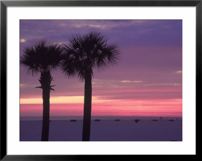 Palm Trees At Dusk, St. Petersburg Beach by Jeff Greenberg Pricing Limited Edition Print image
