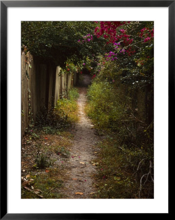 Path To Secluded Beach, Sanibel Island by Frank Simonetti Pricing Limited Edition Print image