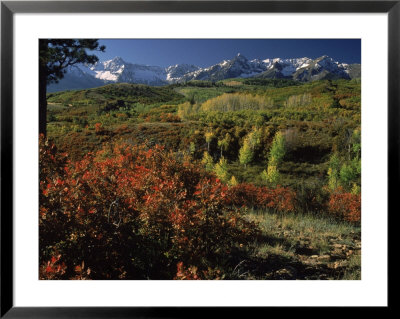 Sneffels Range In Fall, San Juan Mountains, Co by Gail Dohrmann Pricing Limited Edition Print image