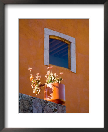 Potted Plant In Old Mining Town Of Valenciana, Guanajuato State, Mexico by Julie Eggers Pricing Limited Edition Print image