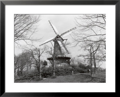Windmill In Park, Alkmaar, Netherlands by Claire Rydell Pricing Limited Edition Print image