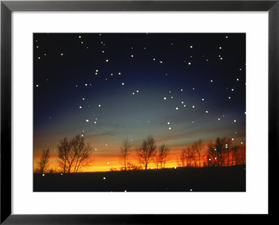 Silhouetted Landscape Below Star-Filled Sky by Chris Rogers Pricing Limited Edition Print image