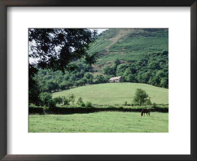 Countryside Withhorse, Wales by Phil Cantor Pricing Limited Edition Print image