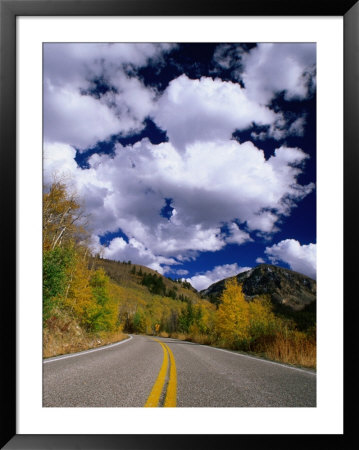 Scenic Highway 82, Aspen, Colorado, Usa by Richard Cummins Pricing Limited Edition Print image