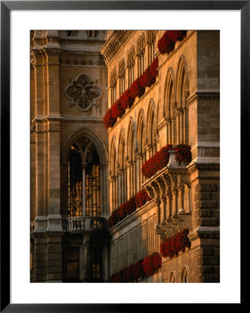 Flower Boxes On The Vienna City Hall Building, Vienna, Austria by Martin Moos Pricing Limited Edition Print image