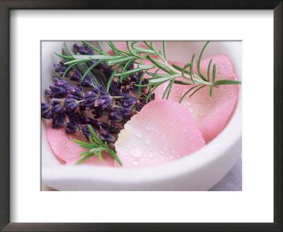 White Pestle And Mortar With Sprig Of Rosemary, Lavender And Pink Rose Petals by Linda Burgess Pricing Limited Edition Print image