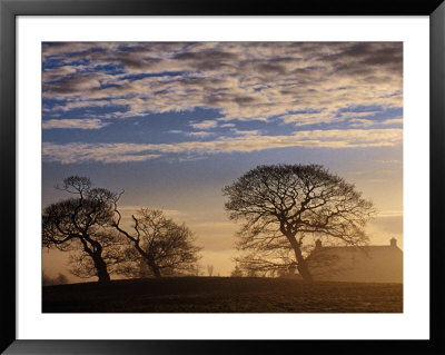 Trees And House Silhouetted In Winter Morning Light, Tyrone, Northern Ireland by Gareth Mccormack Pricing Limited Edition Print image