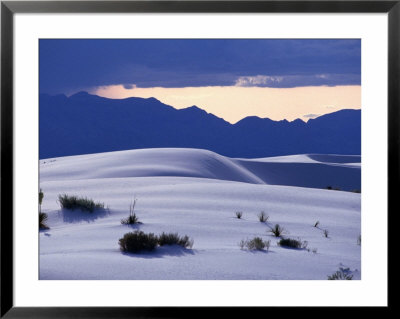 Grass Clunps On Sand Dunes, White Sands National Monument, Usa by John Elk Iii Pricing Limited Edition Print image