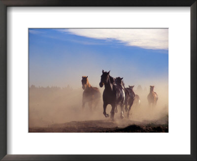 Wild Horses In The High Desert Near Sun River, Oregon, Usa by Janis Miglavs Pricing Limited Edition Print image