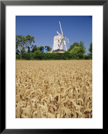 The Post Mill, Saxtead Green, Suffolk, England, Uk, Europe by John Miller Pricing Limited Edition Print image