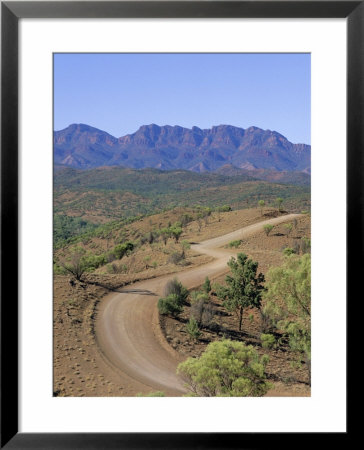 Umbrella Wattles, Bunyeroo Valley, Flinders Range, South Australia, Australia by Neale Clarke Pricing Limited Edition Print image