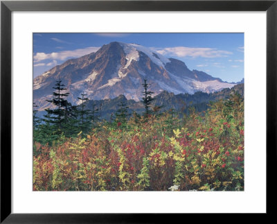 Landscape, Mount Rainier National Park, Washington State, United States Of America, North America by Colin Brynn Pricing Limited Edition Print image