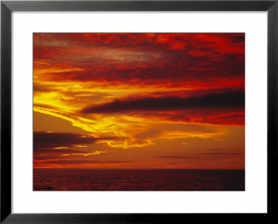 Dramatic Sky And Red Clouds At Sunset, Antarctica,, Polar Regions by David Tipling Pricing Limited Edition Print image