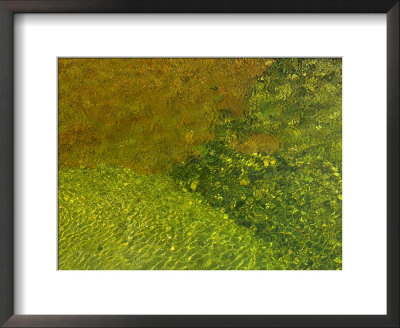 Pebbles On A Creek Bottom Seen Through Water by Raul Touzon Pricing Limited Edition Print image