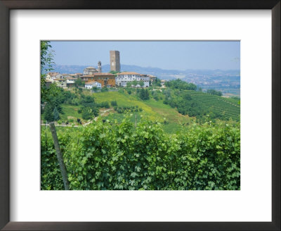 Vines In Vineyards Around Barbaresco, The Langhe, Piemonte (Piedmont), Italy, Europe by Sheila Terry Pricing Limited Edition Print image