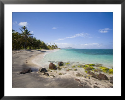 Nisbett Plantation Beach, Nevis, Caribbean by Greg Johnston Pricing Limited Edition Print image