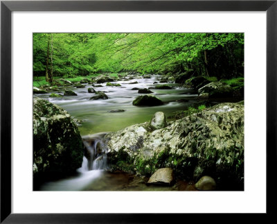 Summer Scene Along West Prong Of Little River, Usa by Willard Clay Pricing Limited Edition Print image