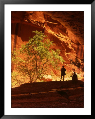 Hikers, Sandstone And Tree Reflected, Escalante Area, Glen Canyon National Recreation Area, Utah, by Howie Garber Pricing Limited Edition Print image
