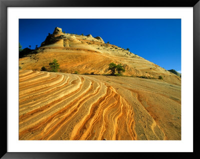 Layered Sandstone In Zion Canyon, Zion National Park, Utah, Usa by Chuck Haney Pricing Limited Edition Print image