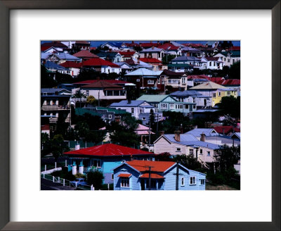 Overhead Of Houses In Auckland, Auckland, New Zealand by Michael Coyne Pricing Limited Edition Print image