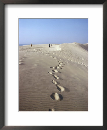 Dunes Du Pilat, Guyenne, Near Bordeaux, Aquitaine, France by Adam Woolfitt Pricing Limited Edition Print image