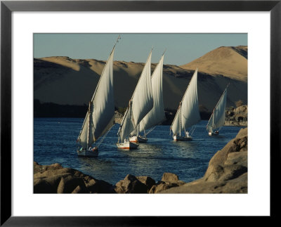 Fleet Of Feluccas Parade Down The Nile River Near Aswan by O. Louis Mazzatenta Pricing Limited Edition Print image