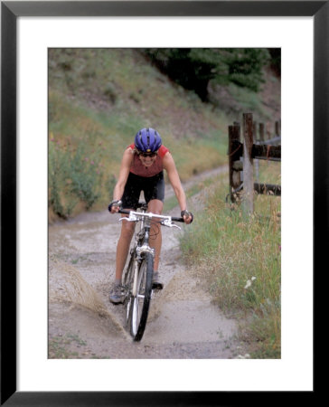 Mountain Biking In Boulder, Colorado, Usa by Lee Kopfler Pricing Limited Edition Print image