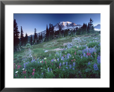 Landscape With Wild Flowers, Mount Rainier National Park, Washington State by Colin Brynn Pricing Limited Edition Print image