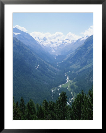 A Glider Enjoys Rising Currents Over The Morteratsch Valley by Taylor S. Kennedy Pricing Limited Edition Print image
