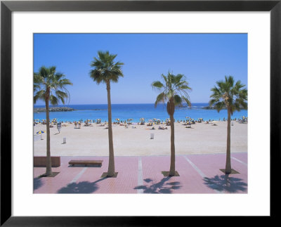 Playa De Balito, Near Puerto Rico, Gran Canaria, Canary Islands, Atlantic, Spain, Europe by Hans Peter Merten Pricing Limited Edition Print image